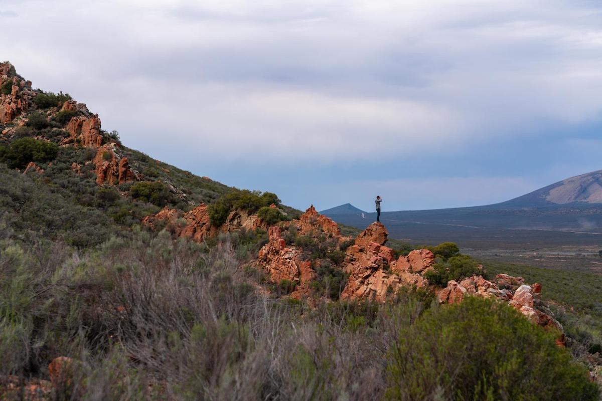 Gecko Rock Private Nature Reserve Goedgemoed Buitenkant foto